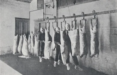 Frosset kød, 1923.