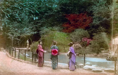 Have, Japan