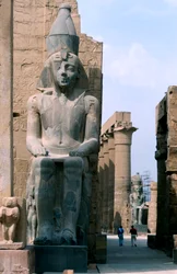 Kæmpe statue af Ramses II tredje konge af det 19. dynasti, Luxor, Egypten, c1279-c1213 f.Kr.