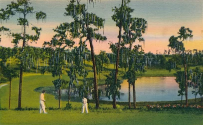 Golf, en sport året rundt i Florida, c1939