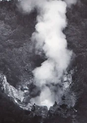 Great Wairakei Geyser, slutningen af det 19.-begyndelsen af det 20. århundrede.