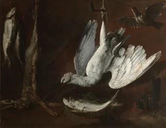 Hare, skestork og fisk, midten af 1600-tallet.