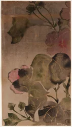 Hibiscus blomster og blade, Edo-perioden, 1615-1868.