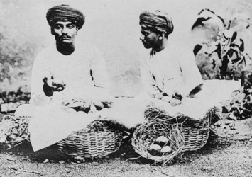 Hindufrugtsælgere, Indien, 20. århundrede