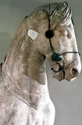 Hest, Quadriga af Mausoleet ved Halikarnassos, 350 f.Kr