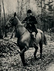 Jagt på vildsvin i Frankrig, 1927, 1945.
