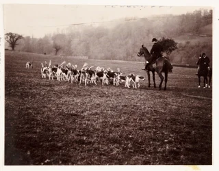 Jæger og jagthunde, c 1905