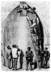 Illustration fra Fra Jorden til Månen af ​​Jules Verne, 1865