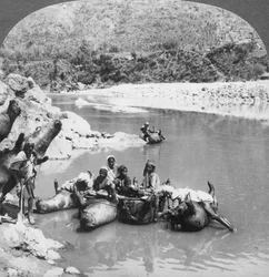 Oppustede okseskind brugt som færgebåde på Sutlej-floden, Punjab, Indien, c1900-tallet