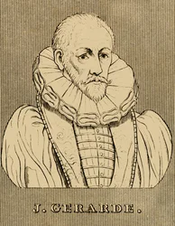 J. Gerarde, c1545-1612, 1830.
