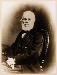 John Stringfellow, engelsk pionerflyver, ca. 1880