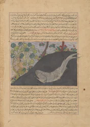 Jonah and the Whale, Folio fra et Majma