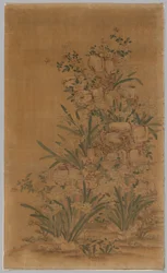 Ko Ssu Panel: Rocks and Narcissus, 1700-1800-tallet.