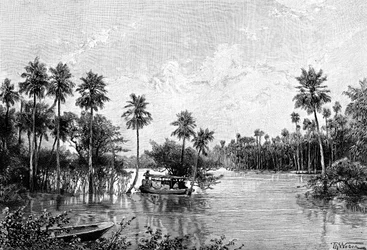 Las Palmes Lagunas, nær mundingen af ​​Pilcomayo, 1895