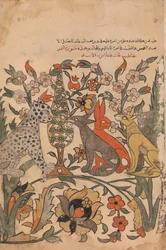 Leopard med løveorden til dommerkolleger, folio 51 recto fra en Kalila wa Dimna, 1700-tallet.