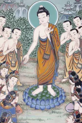 Buddhas liv, Seoul, Coree du Sud