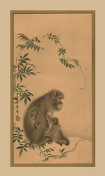 Abe, 1800-tallet, 1886