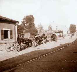 Muldyrvogne med forsyninger, Verdun, Nordfrankrig, c1914-c1918