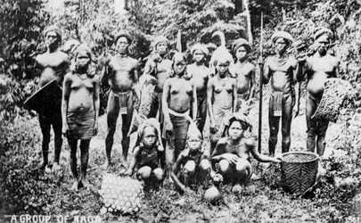 Naga-folk, Indien, 20. århundrede