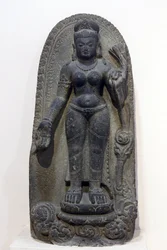 Nationalmuseet, New Delhi. Tara. Pala, 8. århundrede e.Kr., Bihar. Sten. Indien.