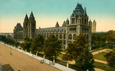 Natural History Museum, London, c1910.