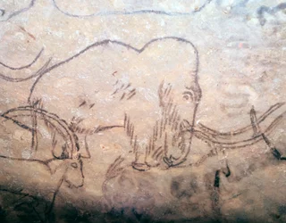 Neolitisk hulemaleri af en mammut og stenbukke