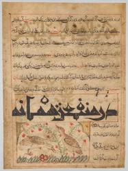 Om fordelene ved vagtler verso fra en Manafi al-Hayawan..., ca. 1300.