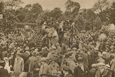 Et af tegnene på vores civilisation: velassorterede zoologiske haver til at glæde de nysgerrige, c193