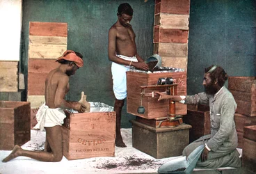 Pakning og vejning af te til eksport på en ejendom i Ceylon Sri Lanka, 1905