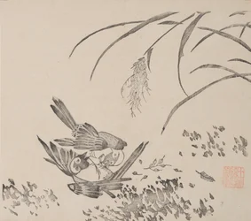 Side fra Shi Zhu Zhai