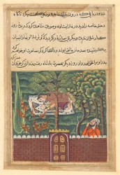 Side fra Tales of a Parrot Tuti-nama: Enoghalvtredsindstyvende nat: Khulasa, en vesir, ser..., c1560.
