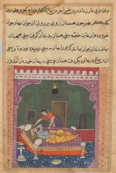 Side fra Tales of a Parrot Tuti-nama: Femogtyvende nat: For falsk at implicere..., ca. 15