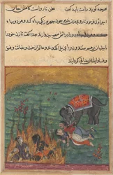 Side fra Tales of a Parrot Tuti-nama: Andentyvende nat: Som straf..., ca. 1560.