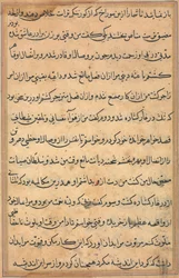 Side fra Tales of a Parrot Tuti-nama: tekstside, ca. 1560.
