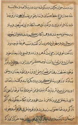 Side fra Tales of a Parrot Tuti-nama: tekstside, ca. 1560.