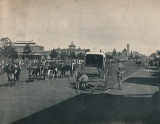 Pietermaritzburg, ca. 1900.