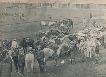 Blikkenslager hest, c1900.