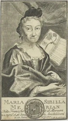 Portræt af Maria Sibylla Merian 1647-1717, 1755.