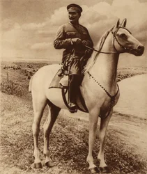 Portræt af Semyon Mikhailovich Budyonny 1883-1973.