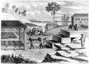 Forbereder indigo, Santo Domingo, 1873
