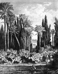 Princely Garden i Cairo, Egypten, 1880