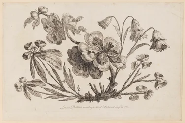 Print (Frankrig)