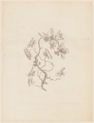 Print (Frankrig)