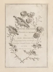 Print (Frankrig)