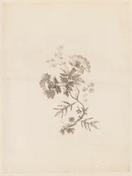 Print (Frankrig)