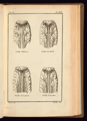 Print (Frankrig)