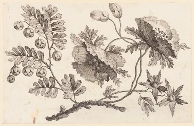 Print (Frankrig)