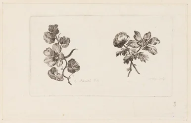 Print (Frankrig)