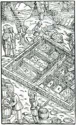 Fremstilling af salt ved at fordampe havvand i saltpander, 1556