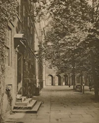 Pumpebane i sin sommerbeklædning af blade og sollys, c1935.